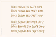 Brotherley, a Serif Font by creativemedialab (Thumbnail 4 of 6)
