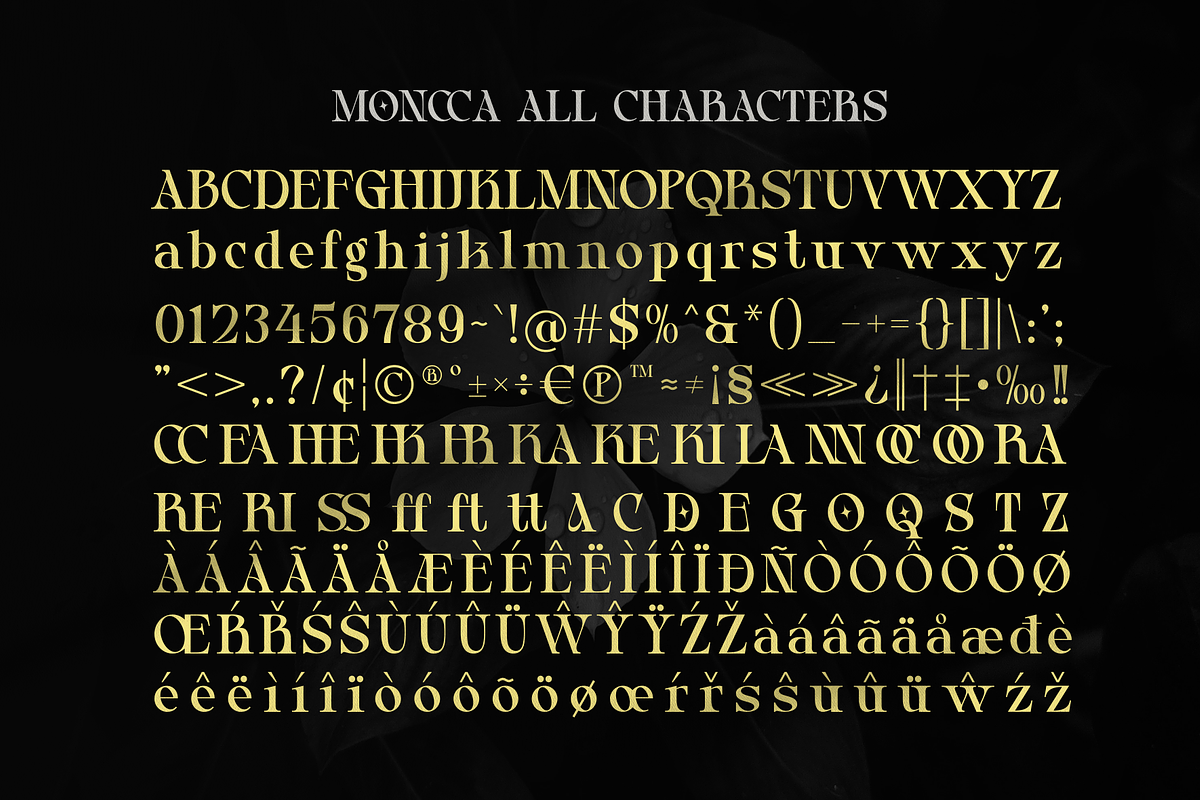 Moncca - Modern Serif Display, a Serif Font by MaikoHatta (Photo 6 of 7)