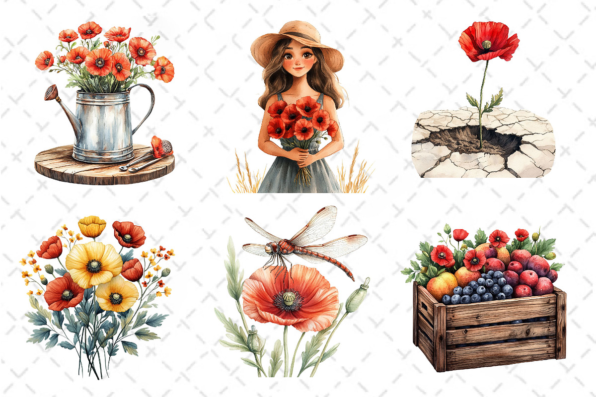 Summer Poppy Flowers Clipart, an Illustration by Dream Creation (Photo 2 of 6)