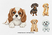 15 Bundle Watercolor Small Dog Pet, an Animal Illustration by Morspective (Thumbnail 7 of 8)