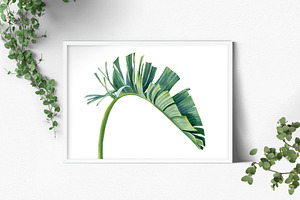 Watercolor Bundle Tropical Leaves