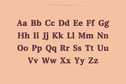 Fjord - Soft Fat Serif Font, a Serif Font by Studio Aurora (Thumbnail 8 of 10)