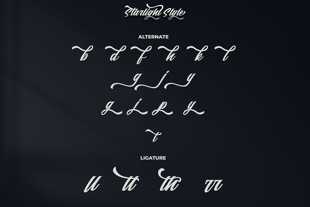 Starlight || Modern Script, a Script Font by Analogous (Photo 15 of 16)