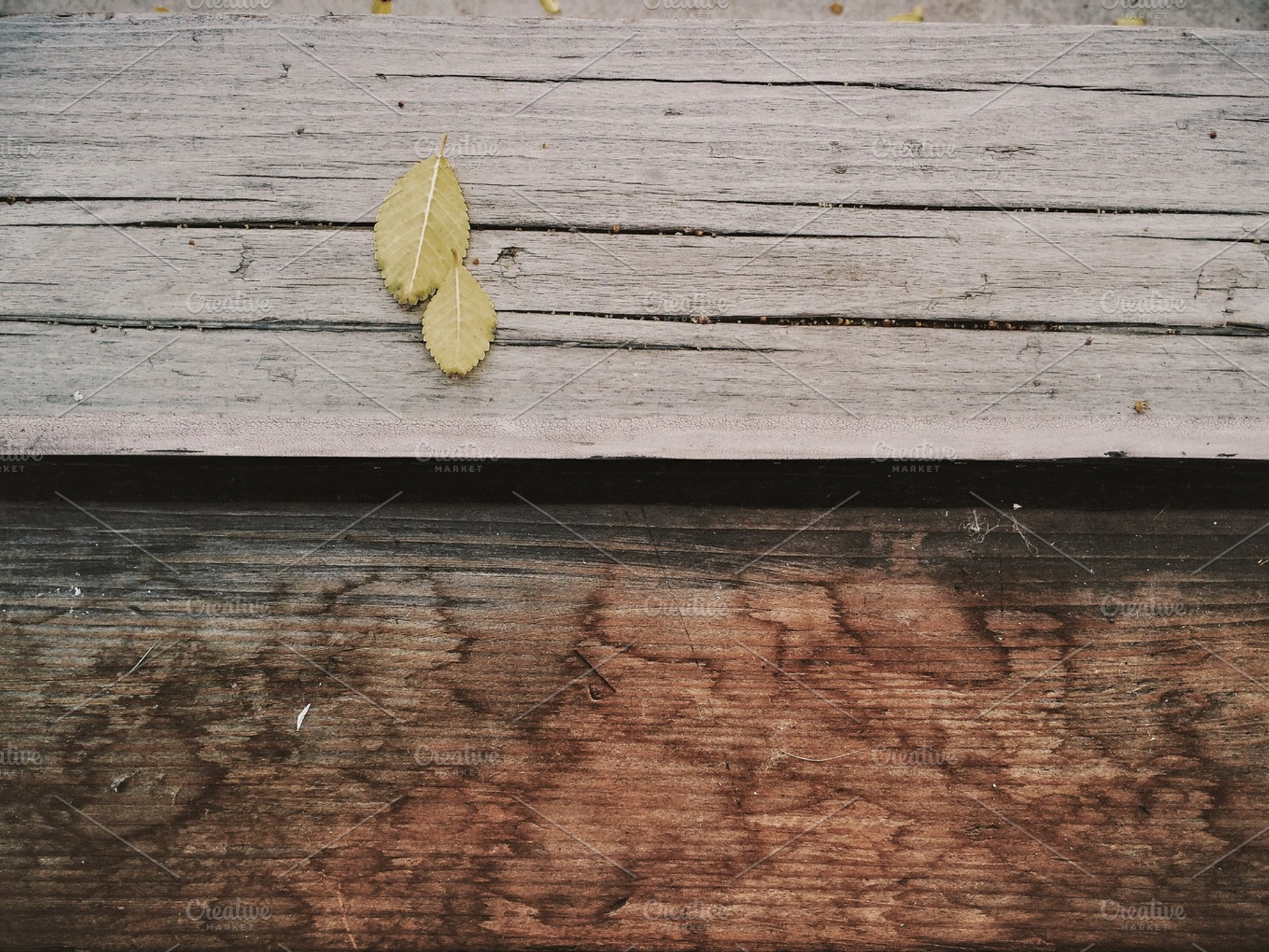 Signs Of Autumn