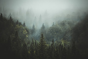 Fine Art Lightroom Presets - Bundle, an Action Add-On by PhotoMarket (Thumbnail 48 of 103)