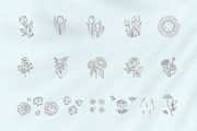 Floral logo elements and templates, a Graphic by Vasylyka (Thumbnail 6 of 12)