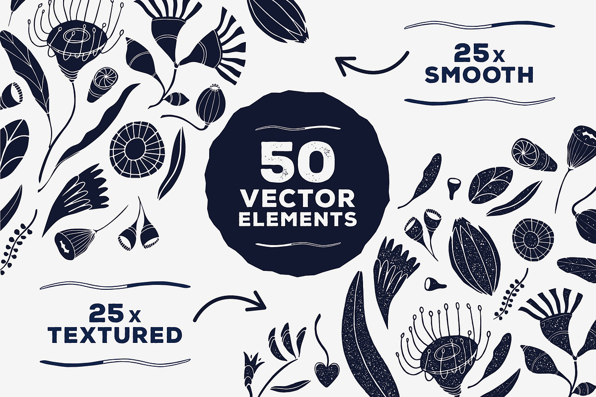 Australian Flora Vector Set, a Decorative Illustration by rouxsupplyco (Photo 4 of 8)
