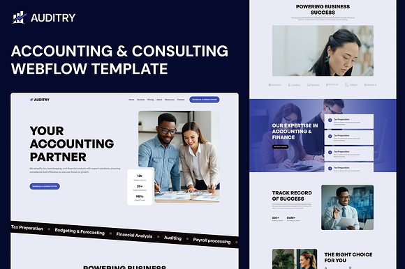 Auditry, Accounting Service Template preview 6