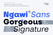 Ngawi Sans Family | Intro 60% OFF, a Sans Serif Font by Lettertype Studio (Thumbnail 1 of 15)