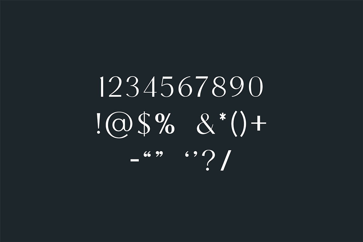Brogadier Elegant Serif Font, a Serif Font by UICreative (Photo 10 of 13)