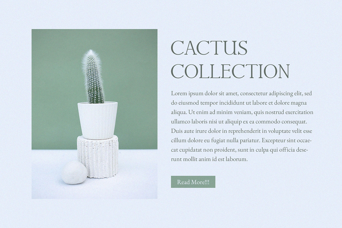 Cardiola - Modern Stylish Serif, a Serif Font by TypeLogue (Photo 3 of 5)