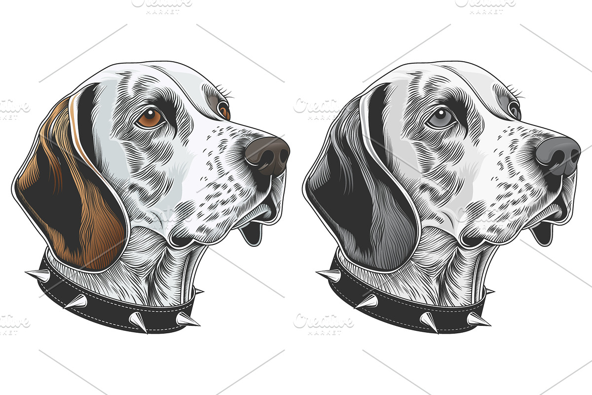 Bloodhound Dog Portrait Vector, an Animal Illustration by Ghagra (Photo 2 of 4)