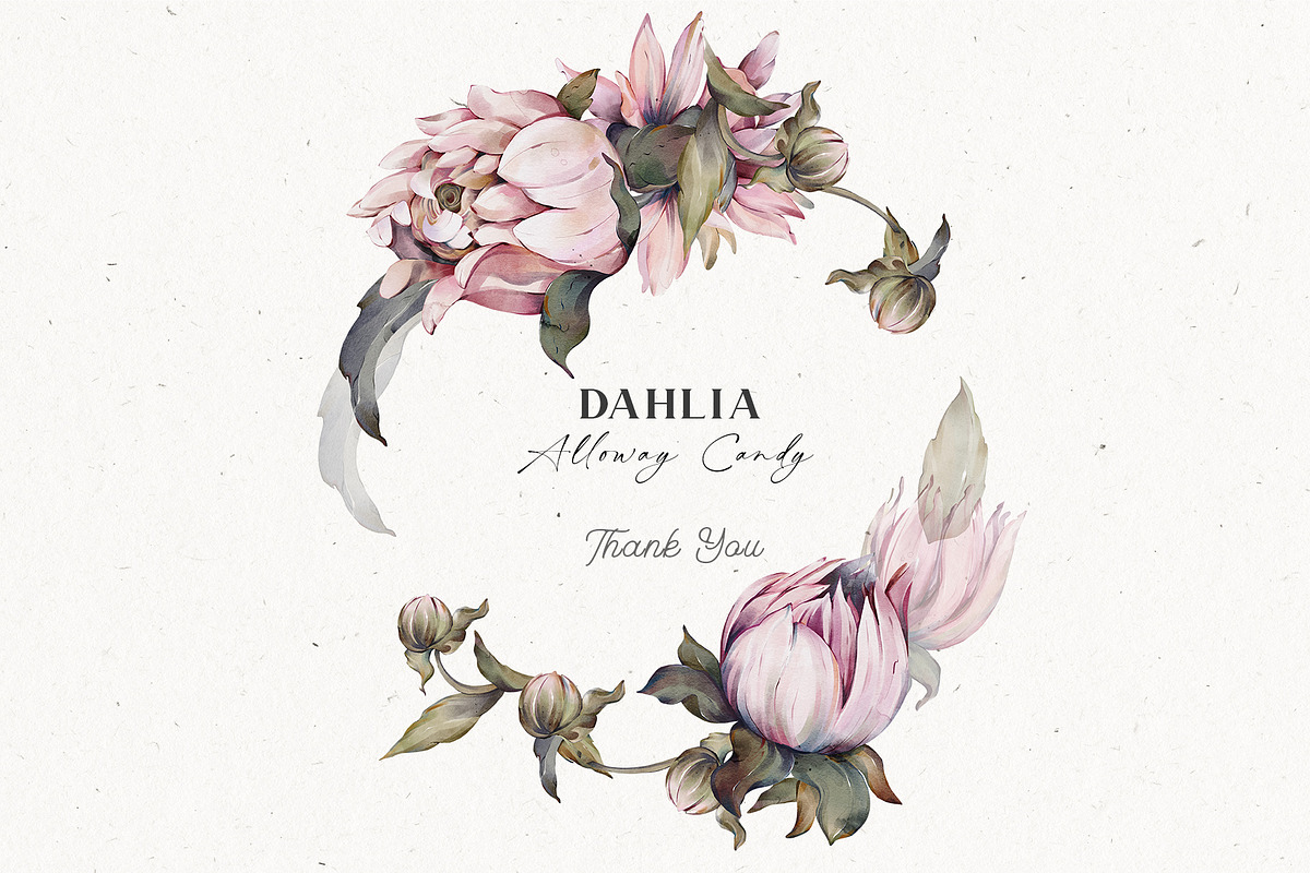 Watercolor Dahlia Floral Elements, a Decorative Illustration by Damian Roh (Photo 12 of 12)