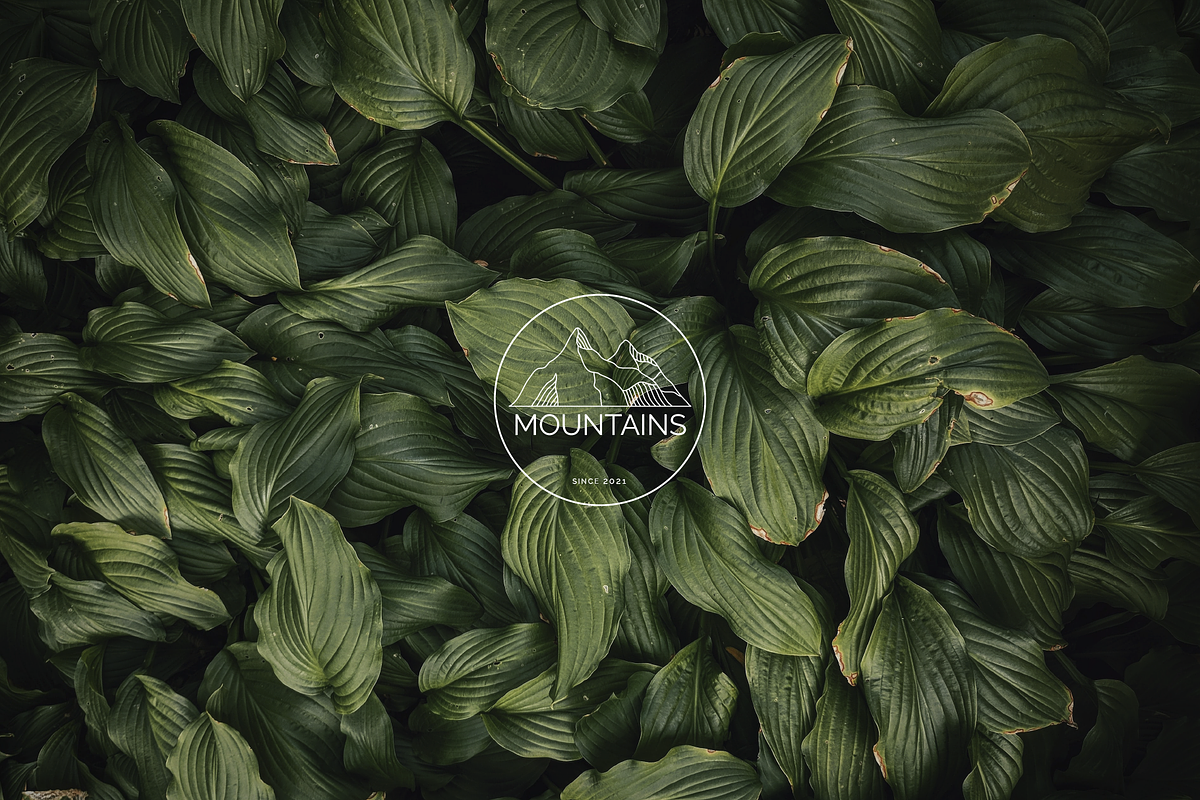 MOUNTAIN Logos, Icons and Frames, a Branding & Logo Template by Andreen (Photo 5 of 15)