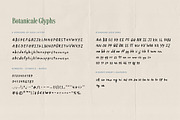 Botanicale | Handwritten Font, a Handwritten Font by type peace (Thumbnail 17 of 18)