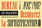 Railine – Condensed Serif, a Serif Font by Craft Supply Co. (Thumbnail 5 of 8)