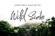 Saturday Rock Font, a Script Font by Creativeqube Design (Thumbnail 3 of 14)