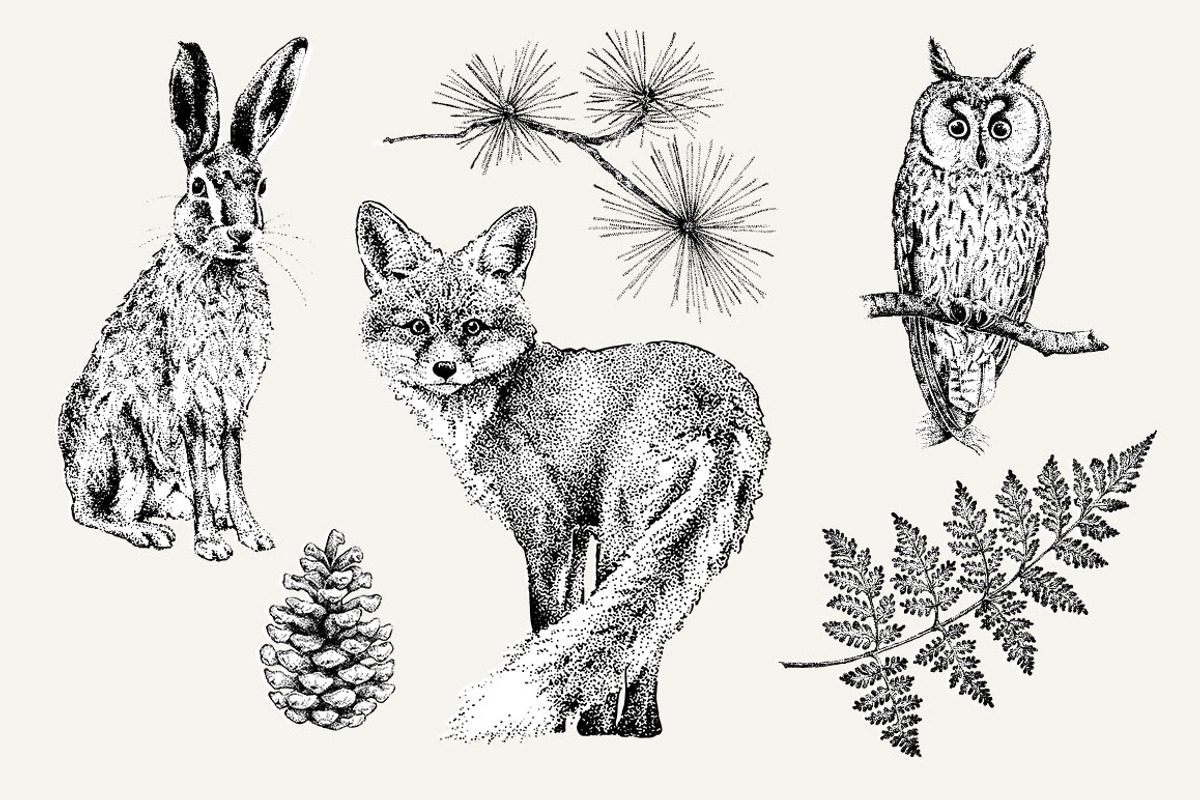 Dotwork Forest Animals, an Animal Illustration by nordicworker (Photo 5 of 6)