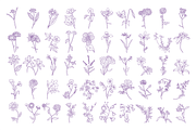 Flower icons, an Icon by Hamocreate (Thumbnail 4 of 11)