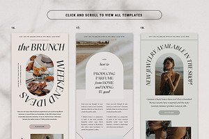 Adele - Newsletter Templates Pack