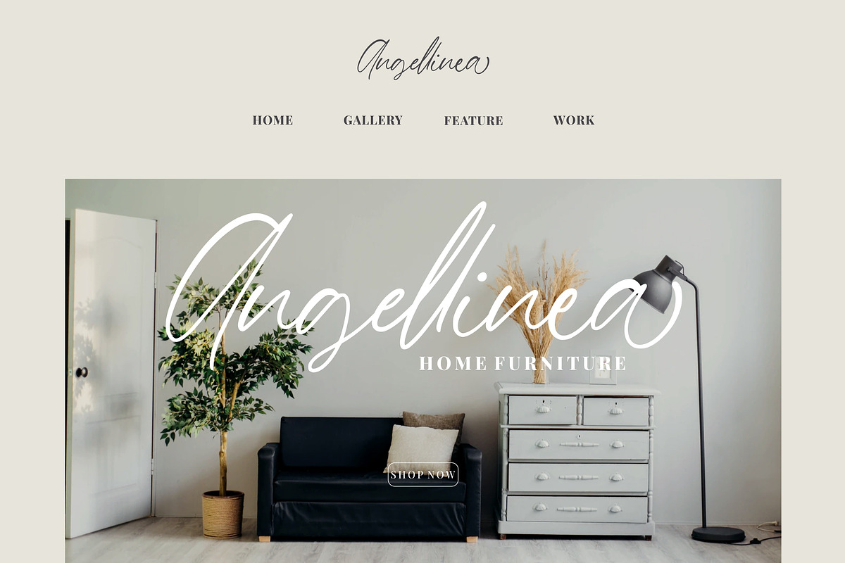 Barnett | New Signature Font preview 3