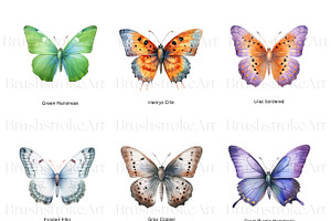 Gossamer Butterflies Clipart, Wings