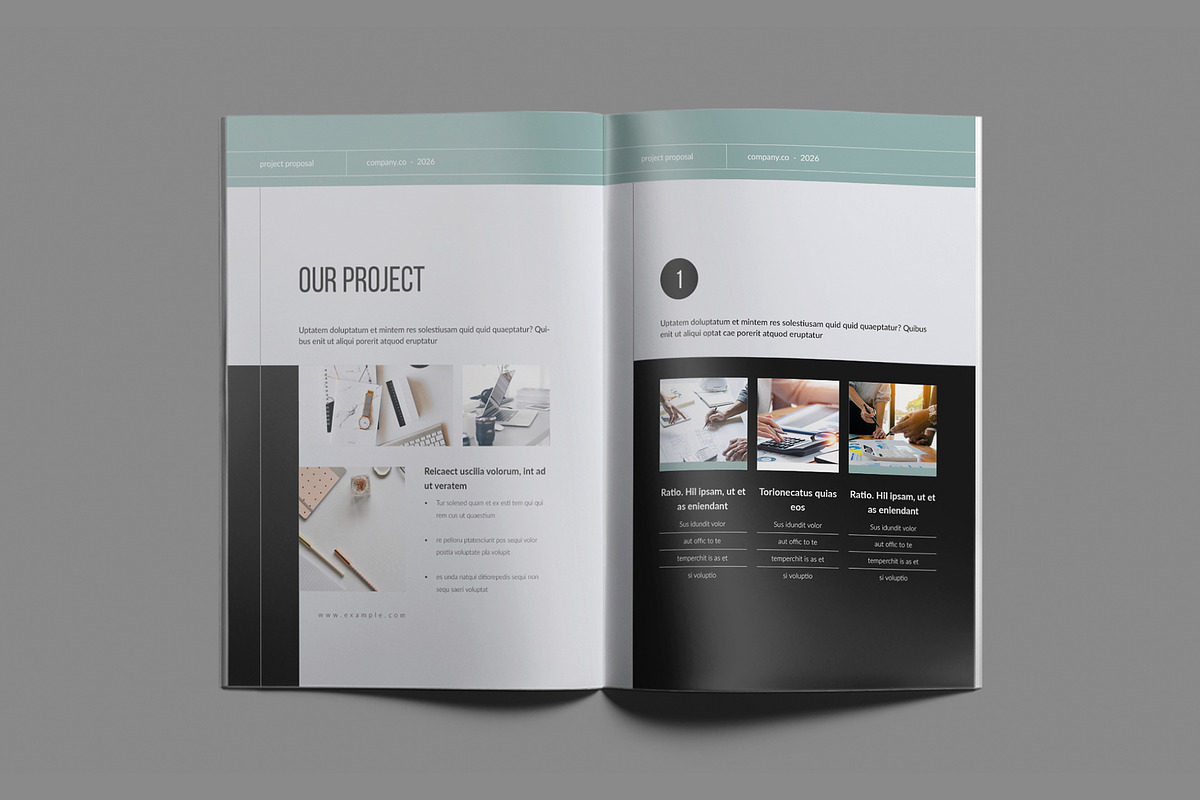 Project Proposal Brochure Template, a Brochure Template by White Graphic (Photo 9 of 16)