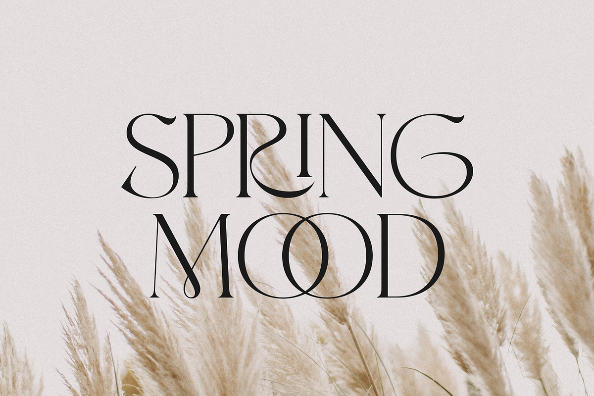 Selaris Modern Serif, a Serif Font by zeenesia (Photo 12 of 16)