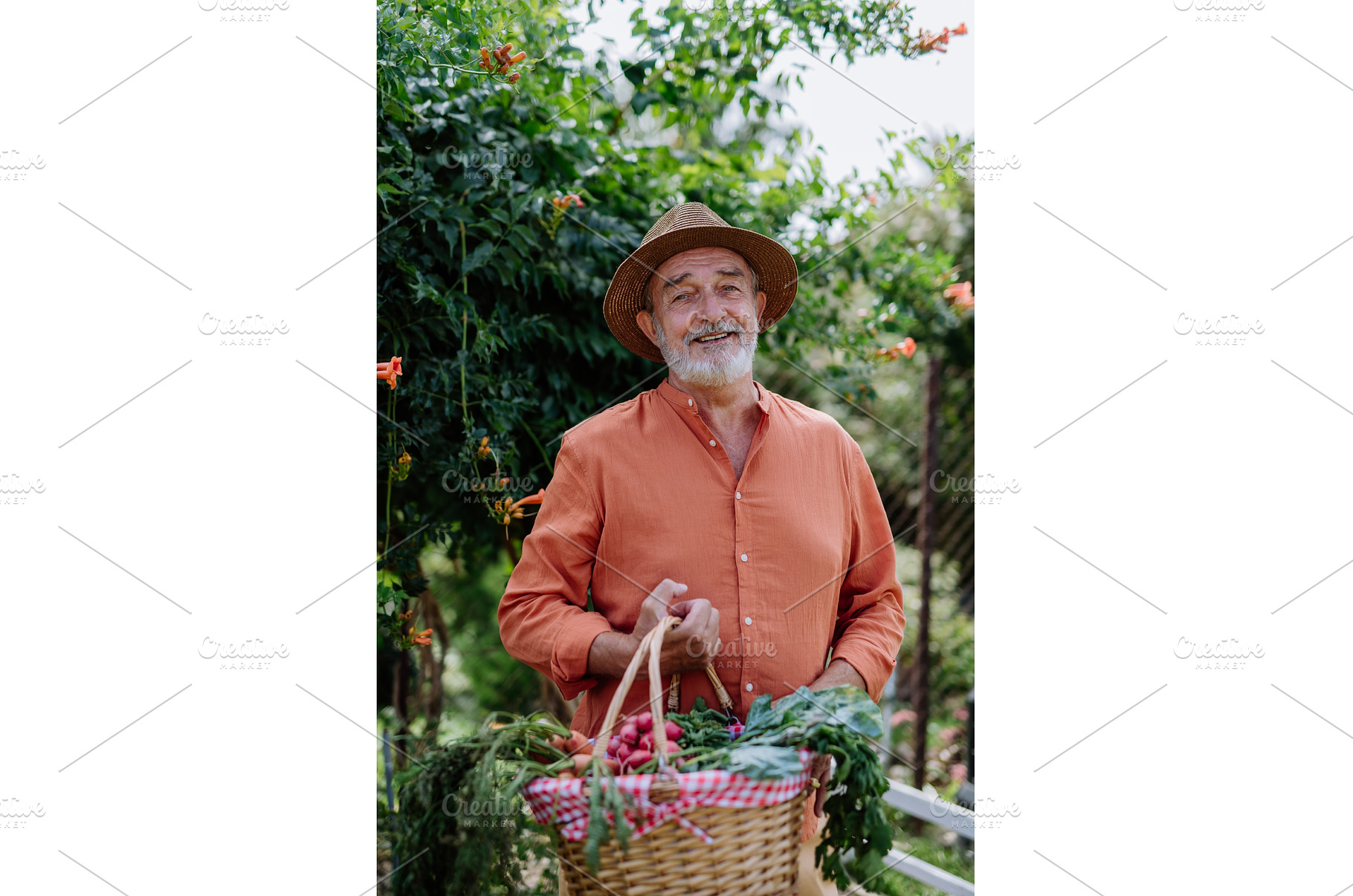 Happy man harvesting vegetables from, a Person Photo by HalfPoint