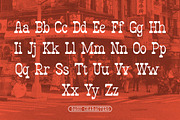 Badamy | Slab Serif Font, a Slab Serif Font by Denustudios (Thumbnail 9 of 14)