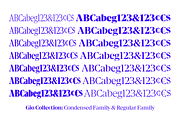 Gio -Intro offer 60% off!, a Serif Font by Fenotype (Thumbnail 9 of 15)
