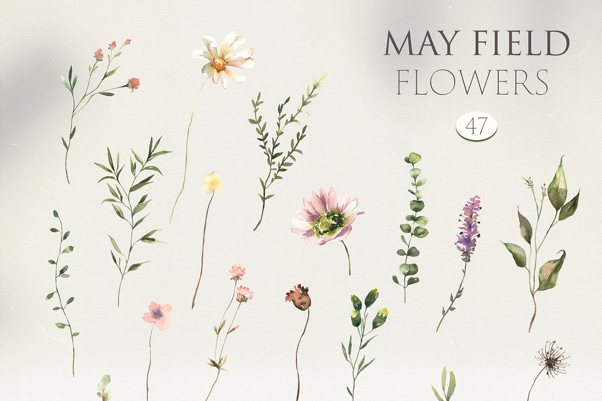 May - Floral Watercolor Collection, a Decorative Illustration by Les Frolova (Photo 11 of 12)