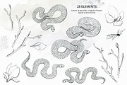 Elegant Wisdom graphics., an Animal Illustration by Dinkoobraz (Thumbnail 4 of 16)