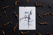 Watercolor Winter Clipart Landscape, an Object Graphic by NataliArkushArt (Thumbnail 2 of 20)