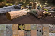 Forest Elements, an Environmental 3D Model by Beatheart Creative Studio (Thumbnail 18 of 25)