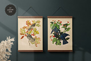BUNDLE: 200 Vintage Art Prints, a Decorative Illustration by The Object Atlas (Thumbnail 4 of 22)