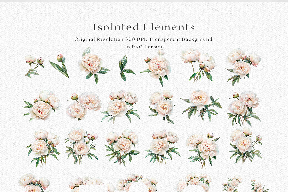 Peony Blush - Watercolor, a Decorative Illustration by ThaismotaCreativeCo (Photo 9 of 11)