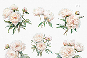 Peony Blush - Watercolor, a Decorative Illustration by ThaismotaCreativeCo (Thumbnail 4 of 11)