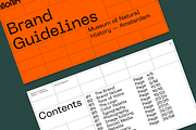 Brand Guidelines Template, a Presentation Template by Typefool's Shop (Thumbnail 2 of 13)