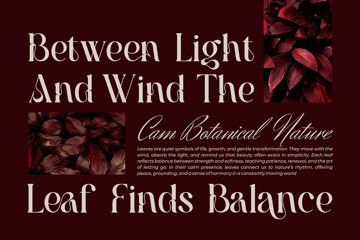 Sraken || Modern Elegant Serif Font, a Serif Font by Ermedia Studio (Photo 7 of 10)