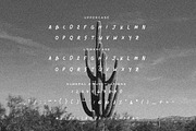 LE AMALFI Elegant Font Duo, a Sans Serif Font by Hishand Studio (Thumbnail 9 of 11)