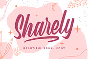 SALE! Sharely - Beautiful Brush Font, a Script Font by Arterfak Project (Thumbnail 1 of 12)
