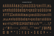 Stone Iron - 5 Weight + Variable, a Serif Font by Ilham Herry (Thumbnail 9 of 9)