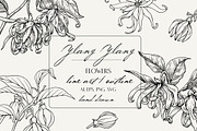 Flowers Ylang Ylang. Botanical set, an Object Graphic by ON_lineart_store (Thumbnail 1 of 8)