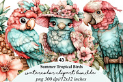 summer tropical birds clipart, an Illustration by GatewayDesign (Thumbnail 1 of 9)