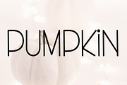Beautiful, a Sans Serif Font by FreshTypeINK (Thumbnail 5 of 8)