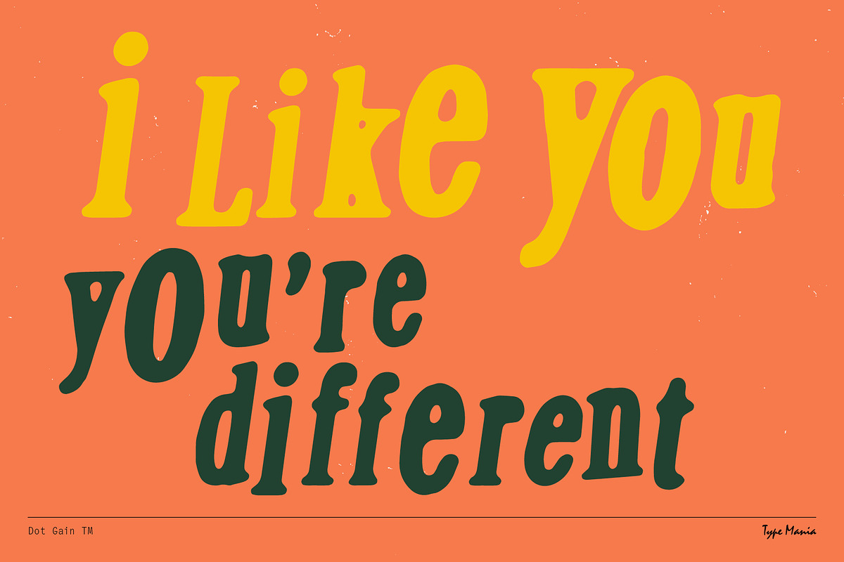 Dot Gain TM – Cozy Serif, a Serif Font by Type Mania (Photo 8 of 10)