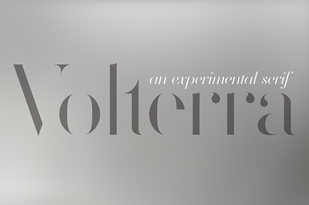 Volterra Family, a Serif Font by Blank Is The New Black