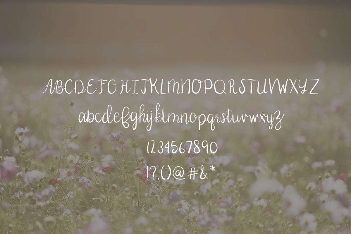 Chance Font preview 5