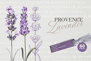Provence Lavender. Flower set., a Pattern Graphic by Kotkoa (Thumbnail 7 of 8)